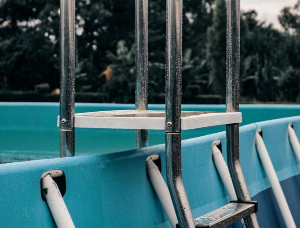 Transform your uk swimming pool: boost water quality naturally with aquatic plants