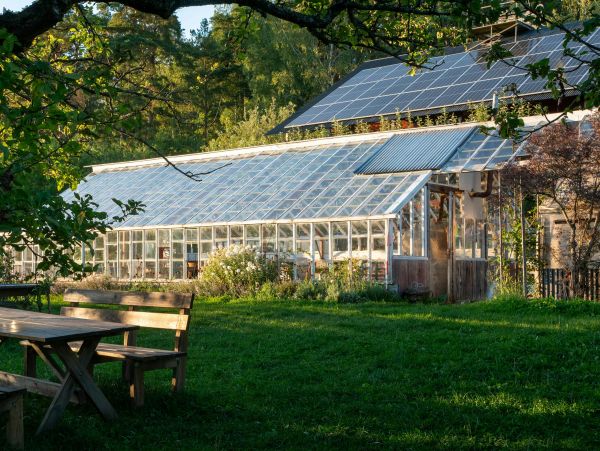 Build your own solar dehydrator: a comprehensive guide to preserving the bounty of your uk garden harvest
