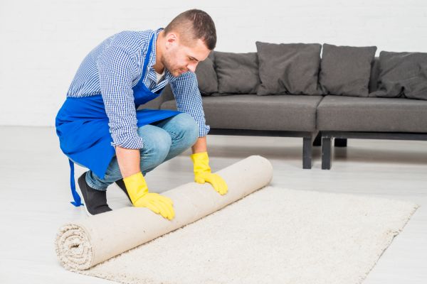 Comprehensive guide to eco-friendly wool carpet installation in your brighton residence