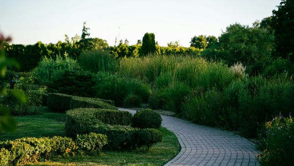 Top Materials for Crafting a Stunning and Long-Lasting Garden Path in the UK