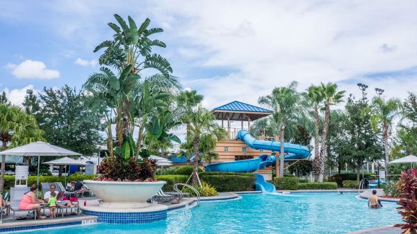 Transform your uk swimming pool: boost water quality naturally with aquatic plants