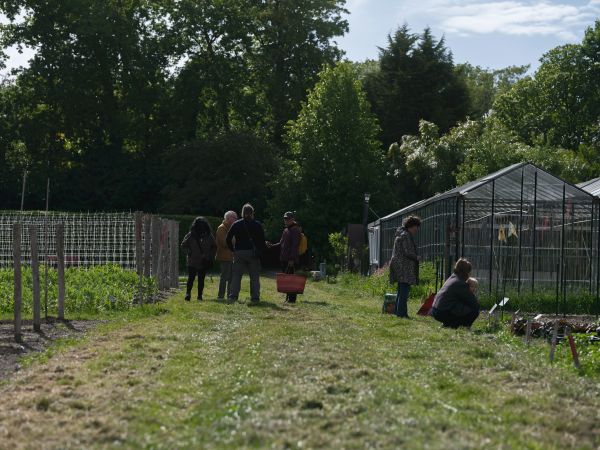 Your ultimate 2023 handbook: a step-by-step approach for uk residents to claim a community garden plot!